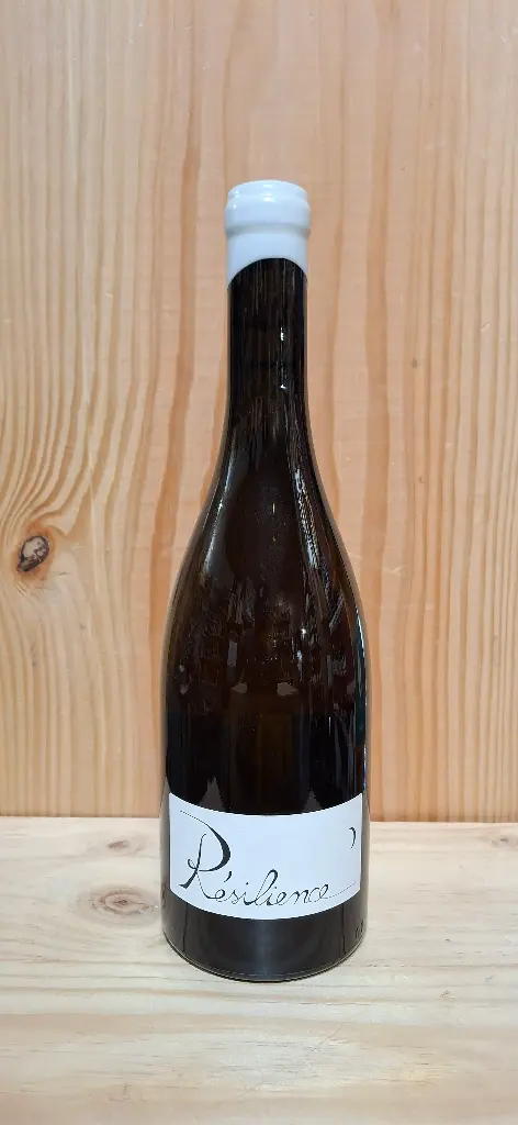 Gilles Berlioz Résilience 2023 Chignin Bergeron AOP 12% 75cl